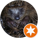 Ali “ALLMAN” KHAN profile picture